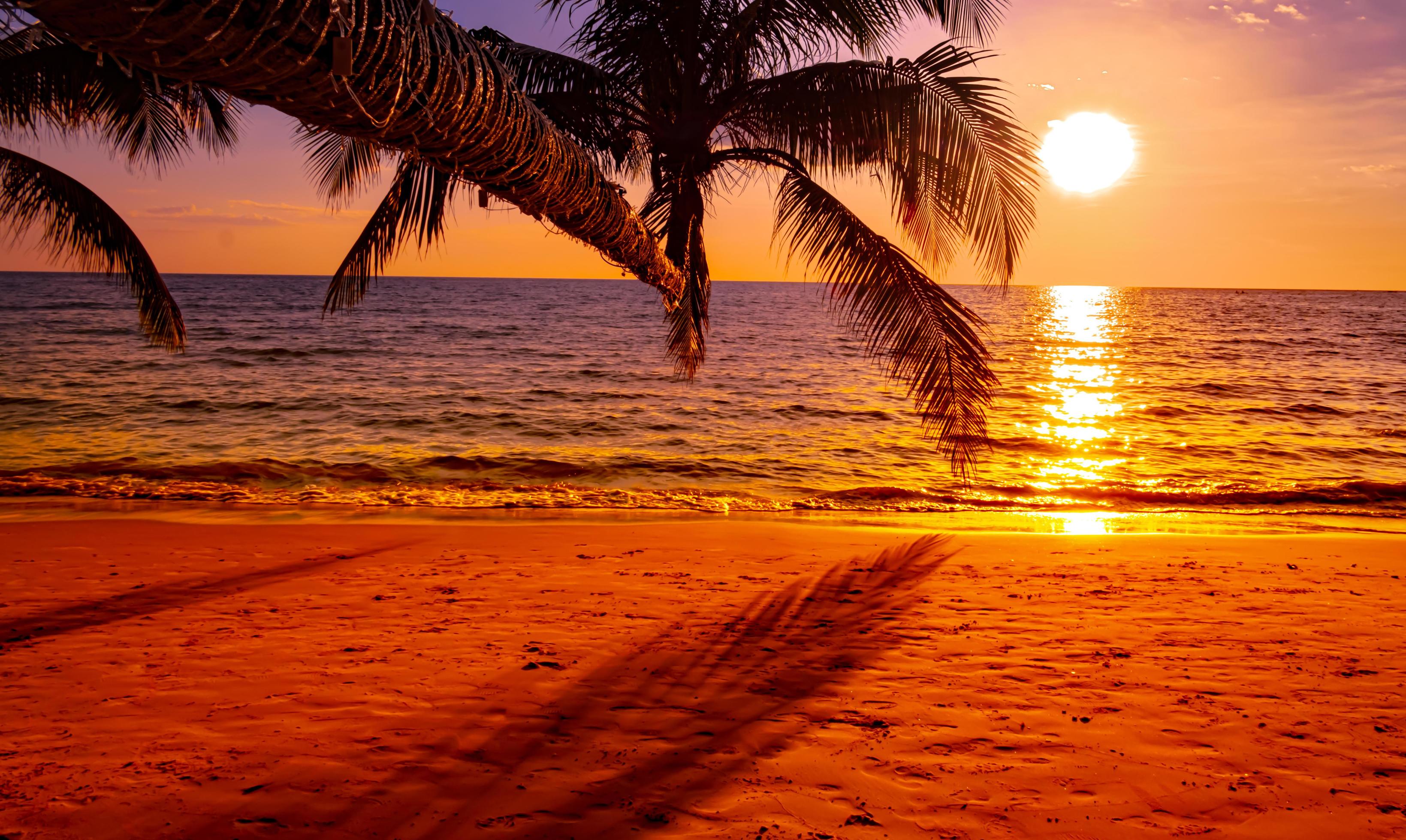 An image of project D